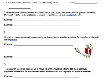 Skeletal Workbook (GCSE Paper 1 & BTEC Component 3)