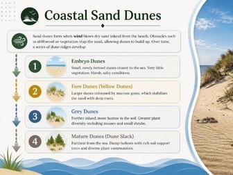 iGCSE Geography - Physical processes that shape the coast