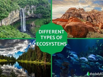 Ecosystems, Y11, Geography, AQA