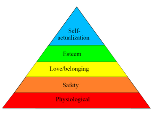 Motivation in Theory & Practice (Business)