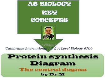 Protein synthesis: Cambridge AS level Biology Diagram