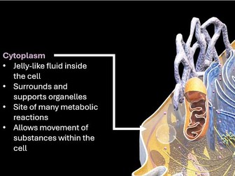 Ultrastructure of Eukaryotic and Prokaryotic cells