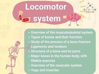 Locomotor System and Skeleton