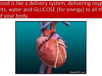 Heart and Circulatory system blood PowerPoint lesson science KS2 KS3 year 5 year 6 year 7 year 8