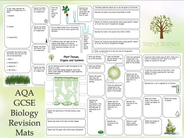 Home Learning Revision - Plant Tissues, Organs And Systems - AQA GCSE ...