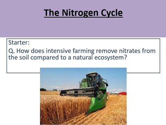 The Nitrogen Cycle