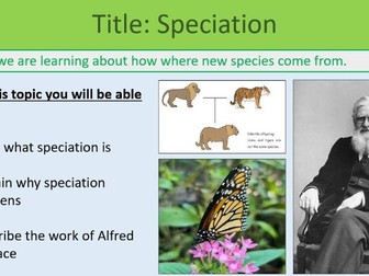 Speciation Lesson GCSE Biology