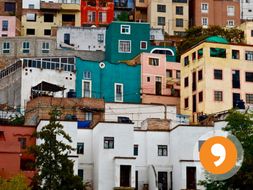 En la Comunidad - In the Community - Quiz
