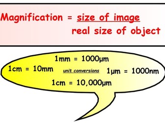 AQA Magnification calculations