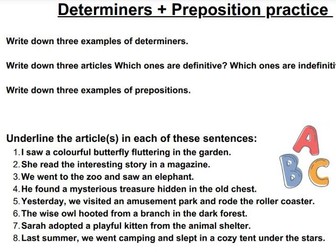 Determiners + Prepositions + Articles Worksheet