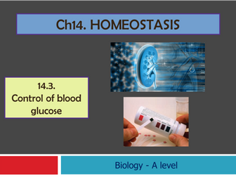 CIE - ch14 Homeostasis - 14.3-Blood glucose levels