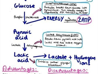 Lactate anaerobic (glycoltic) energy system