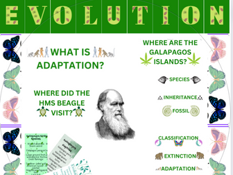 Evolution Classroom Display