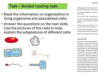 Specialised cells and Organisation