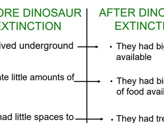 Early mammals