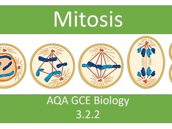 Mitosis and the Cell cycle