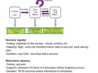 AQA A-Level Psychology Memory Notes