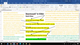 Stormcock in Elder - Fully Annotated Poem CIE | Teaching Resources