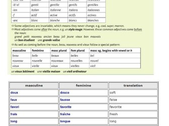 Grammar booklet iGCSE French Edexcel in French