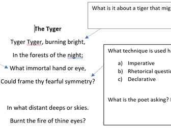 The Tyger by William Blake worksheet iGCSE English literature