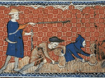 Tudor England - Rural Economy - Textbook