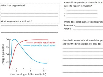 B9 Respiration Worksheet/Powerpoint