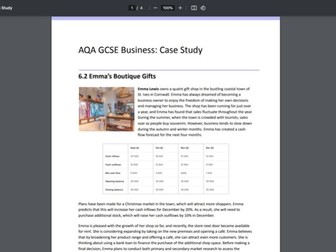 AQA GCSE Unit 6 Business: Case Study Activity