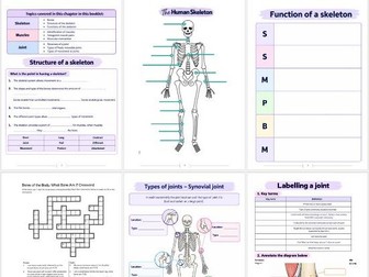 GCSE PE AQA Paper 1 Joints, muscles and movement