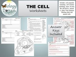 29 Cell Theory Worksheet Answer Key - Worksheet Resource Plans
