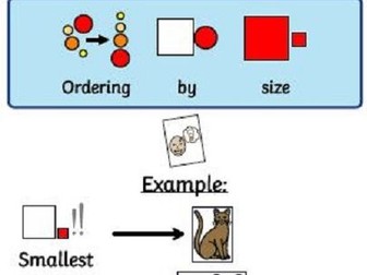 Maths: Sorting by size workbook