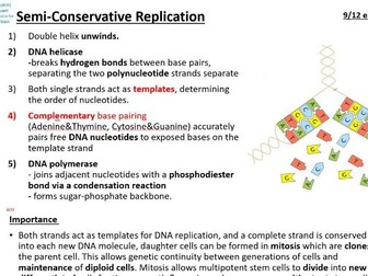 2025 Essay Preparation for A Level Biology AQA