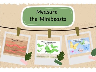 Measure the Minibeasts