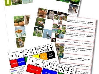 KS1 Animal Classification Board Game