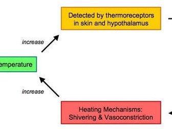 Homeostasis Thermoregulation Cut and Stick