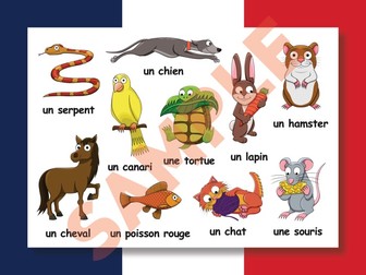 French - English - PETS worksheets