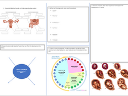 year 7 reproduction revision sheet teaching resources