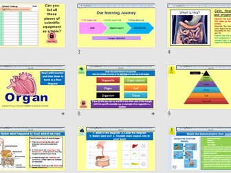 Year 8 - Cells, tissues and the Digestive system