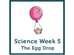 Exploring Gravity - The Egg Drop Experiment | Teaching Resources