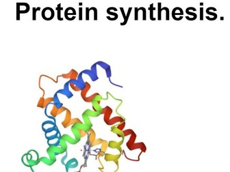 Protein Synthesis  GCSE