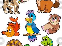 French - animals and pets - add me to your lessons to save time!