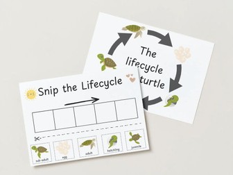 EYFS Life Cycle of a Turtle