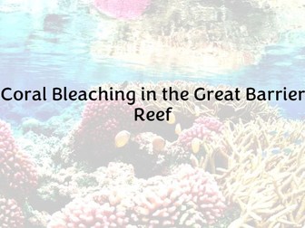 Coral Bleaching - Great Barrier Reef