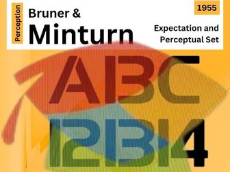 Named Studies: Bruner & Minturn (AQA GCSE Psychology)