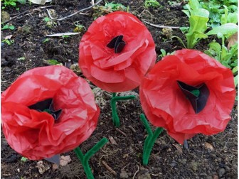 EAL Activities - learning the names of different flowers