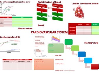 Cardiovascular System Revision Poster (A-Level PE)