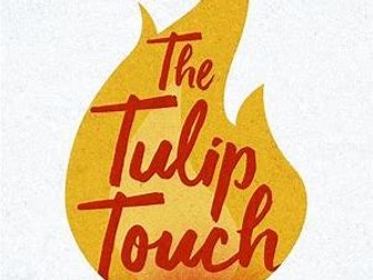 English Reading Task BGE Level 3 KS 2/3-The Tulip Touch