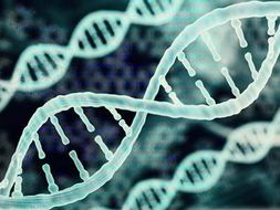 CB1-6, CC1-13, CP1-6 Science Bundle