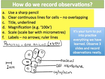 NEW AQA GCSE Cells 9-10 Making Observations (Required Practical)