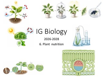 IG Biology 6 Plant Nutrition