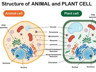 SIMPLIFIED CHECKPOINT SCIENCE RESOURCE MATERIALS ON CELLS WITH WORKSHEET FOR TEACHERS AND LEARNERS